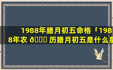 1988年腊月初五命格「1988年农 💐 历腊月初五是什么星座」